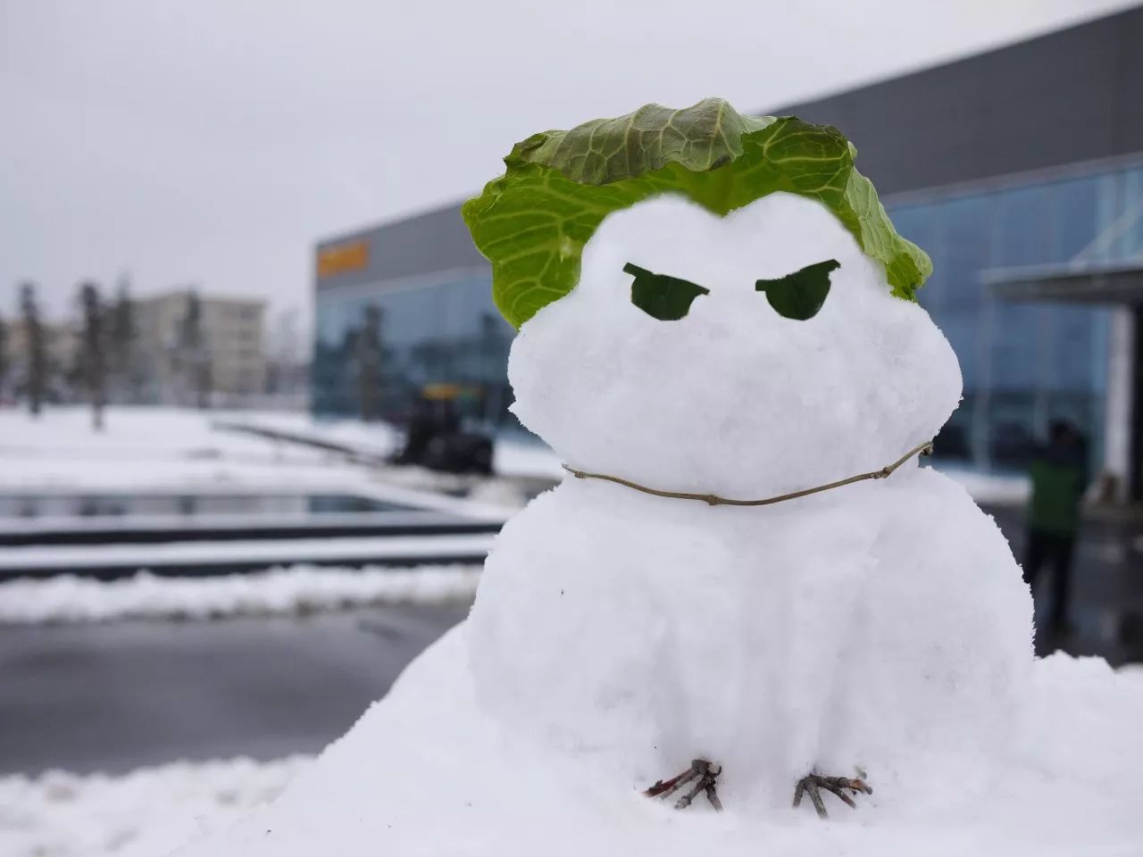 凯时尊龙人生就是博·Z6(中国)首页官网